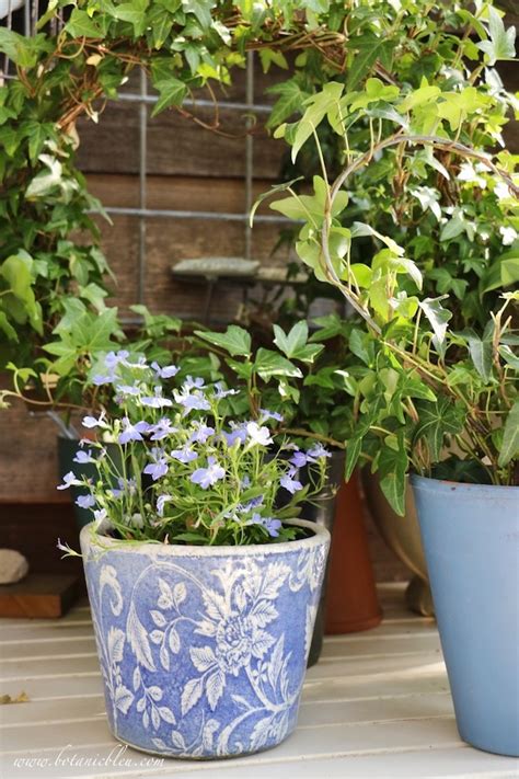 These pokémon learn morning sun at the level specified. Botanic Bleu: French Country Spring Potting Table