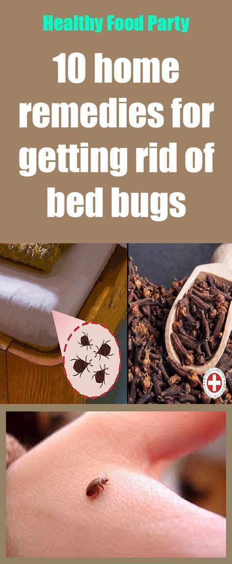 10 Home Remedies For Getting Rid Of Bed Bugs Long Healthy Life Rid