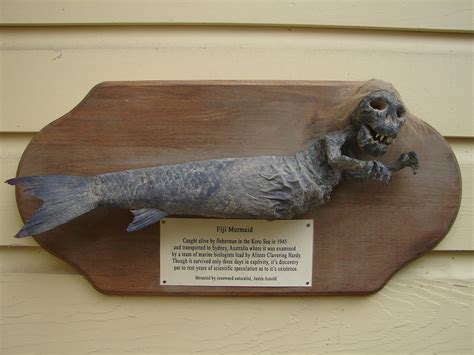 A Statue Of A Fish On A Plaque In Front Of A Building With A Sign