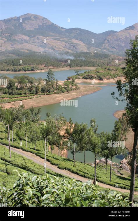 A Lake In The Cardamon Hills In The Munnar District Of Kerala Southern
