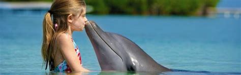 Dieren dolfijn kleurplaat van onderwater dieren moeilijke het kleurplaat help dora met dit moeilijke. 20+ Gratis te printen dolfijn kleurplaten - TopKleurplaat.nl
