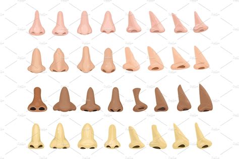 Nose Vector Human Male Face Part Education Illustrations Creative
