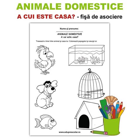 Animale Domestice A Cui E Casa Fise De Asociere Eduprescolarro