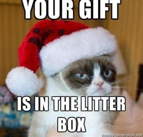 Christmas Grumpy Cat Litter Box Frugal Café Blog Zone Grumpy Cat
