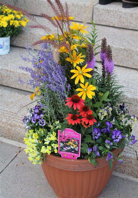 Fabulous Fall Container By Power Flowers Garden Containers Garden