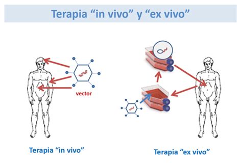 Tipos De Terapia G Nica Terapia G Nica