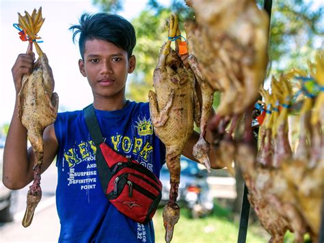 Pengembangan itik serati di kalangan peternak, salah satunya adalah pertumbuhan belum stabil, sehingga bobot badan yang dicapai masih. Itik Serati, Ayam Kampung Salai Laris Di Kelantan - MYNEWSHUB