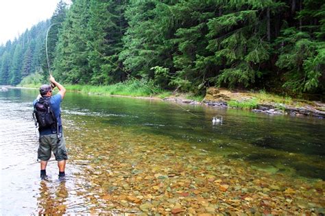 A Small Slice Of Fly Fishing Heaven—the North Fork Of The Cda River