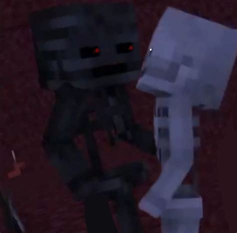 Skeleton And Wither ️