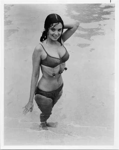 PHYLLIS DAVIS SEXY Pose In Bikini In Pool 1970 S 8x10 Photo 12 00