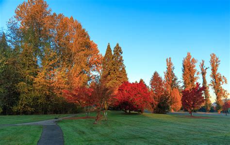 Fall Colors In Vancouver 2024 Dates