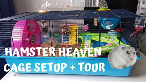 Hamster Heaven Cage Setup Tour Youtube