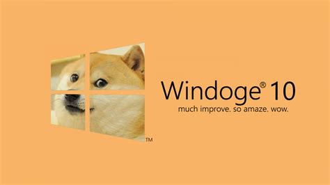 Wallpaper Illustration Dog Memes Doge Microsoft Windows Windows