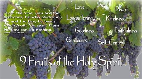 9 Fruits Of The Holy Spirit Dove Media Works