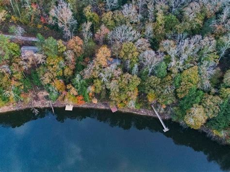Property does not allow children. 42 Acres Smith Lake Winston County : Land Auction in Arley ...