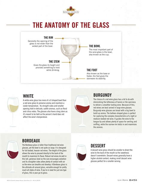 The Difference Between Red And White Wine Glasses