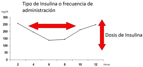 Esquema De Insulina Fotos Gu A