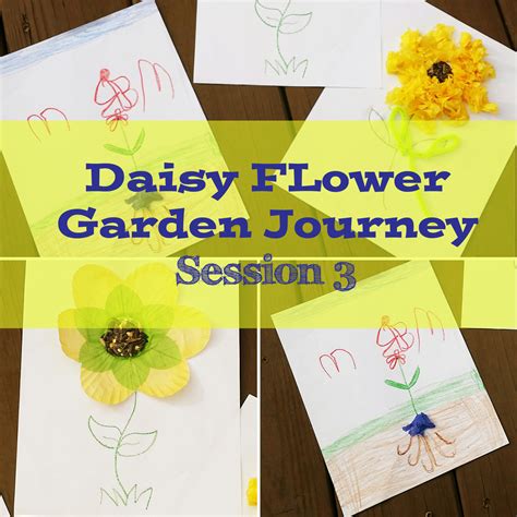 Daisy Flower Garden Journey Session 3 Katie De La Rosa