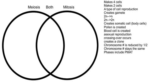 Mitosis And Meiosis Venn Diagram Worksheets