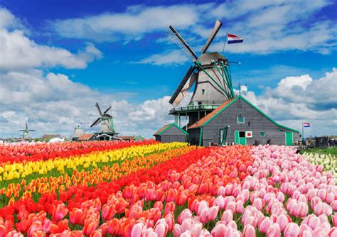 The Netherlands Tulip Trail Springs Floral Beauty Reawaken Adventure