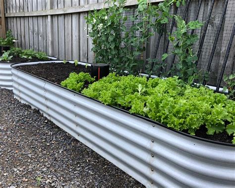 Line the raised bed with a permeable membrane to help keep the runners in check, but bamboos will tend to root horizontally so it's not such a massive concern in this situation. Birdies Original 9 in 1 Garden Bed height 385mm ...