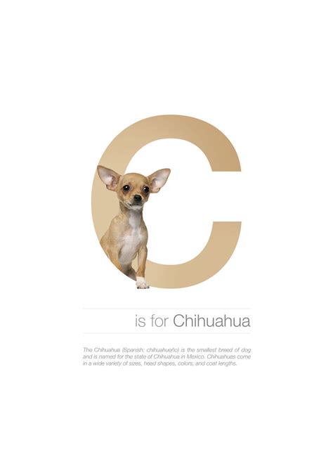 A useful tip for you on alphabetical order dog breeds list: Dog Alphabet That I Made From The First Letters Of Their ...