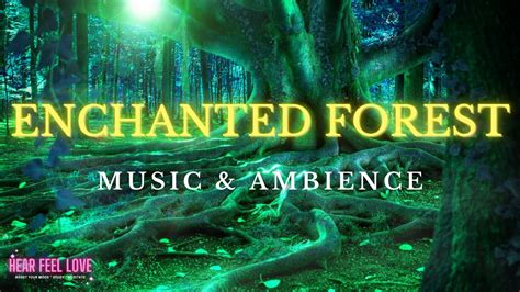Enchanted Forest Ambience And Music Magical Melodies To Sleeprelax