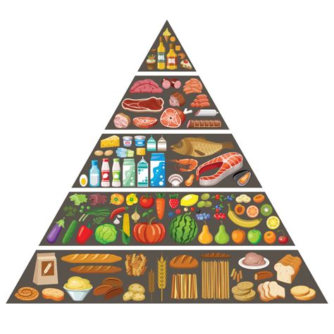 Food Pyramid Cartoon Images Pyramid Clipart Bodemawasuma
