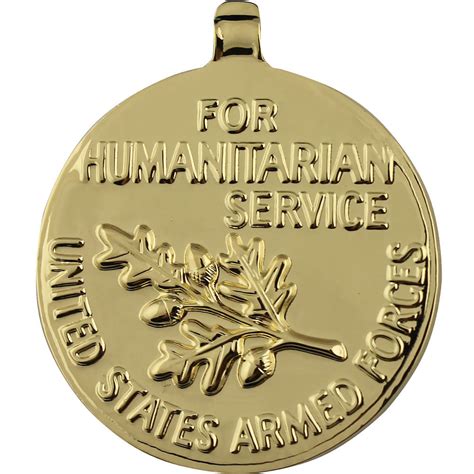 Humanitarian Service Anodized Medal Usamm