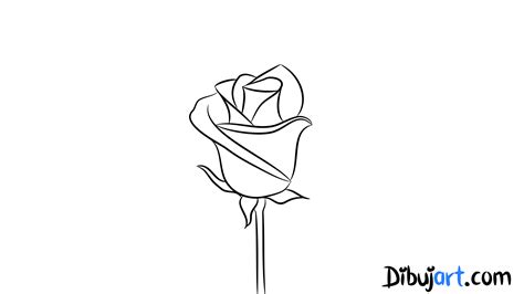 Cómo Dibujar Una Rosa Sencilla Y Fácil 6 Serie De Dibujos De Rosas