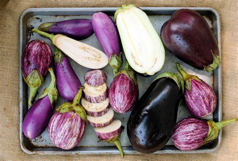 learn to love eggplants with our tips and 4 dishes including classic eggplant parmesan