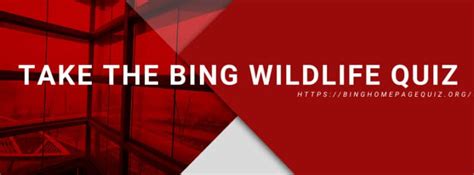 Get more points by playing other bing quiz and redeem these points with the gift you want. Bing Wildlife Quiz | Bing Homepage Quiz
