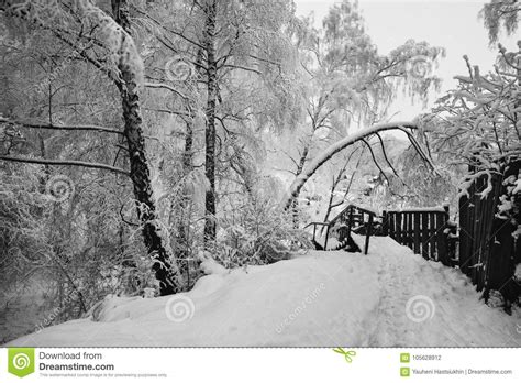 Art Black And White Photography Winter Landscape Stock