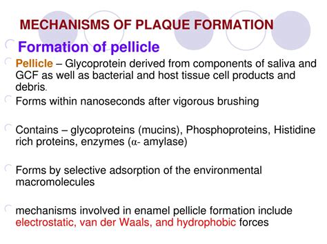 Ppt Dental Plaque Powerpoint Presentation Free Download Id9511546