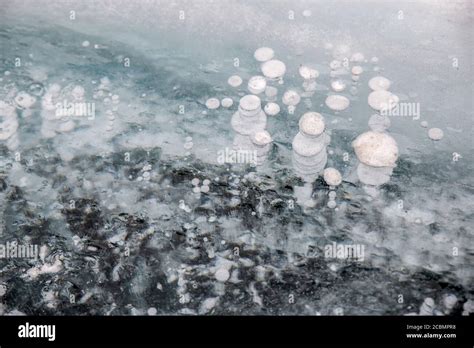 Bubbles Of Methane Gaz Frozen Into Clear Ice On Lake Baikal Russia