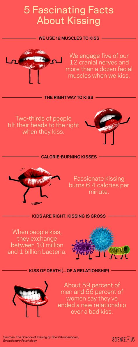 These facts about everyday house cats are fascinating. 5 Facts You Didn't Know About Kissing -- Science of Us ...