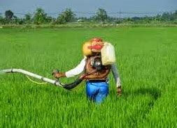 Racun serangga kutu thrips 1. Anim Agro Technology: RACUN SERANGGA DAN KERACUNAN