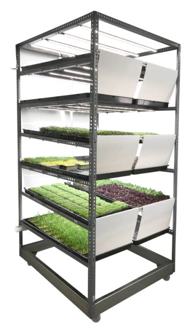 Growing System For Efficient Microgreen Production
