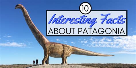 10 Fun Facts About Patagonia Youll Love Nomadic Boys