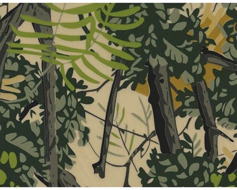 Wassertransferdruck Folie Camouflage CA-R-034 50 x 10000 ...