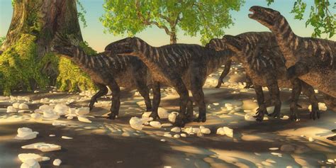 The Cretaceous Period Major Events Animals And When It Lasted Az