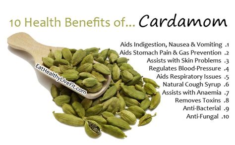 10 Health Benefits Of Cardamom Eating Healthy Living Fit