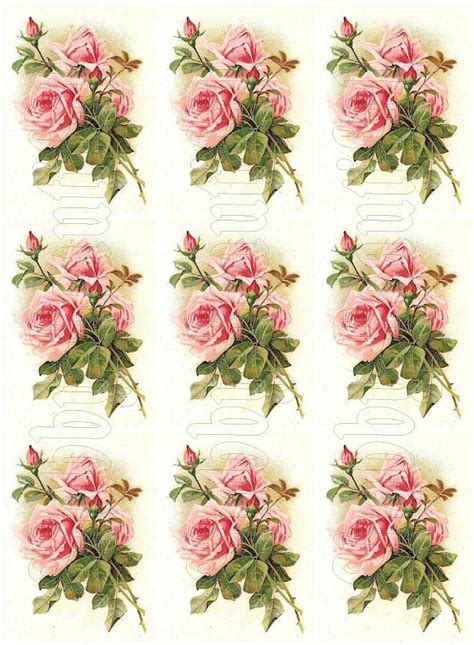 Shabby Chic Pink Roses Digital Collage By Shabbybeautiful On Zibbet