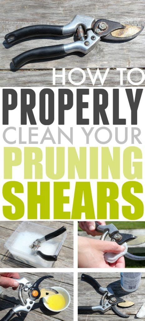 How To Clean Pruning Shears The Creek Line House