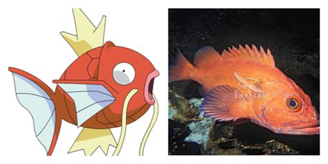 19 Pictures Of Pokémon And Their Real Life Counterparts When In Manila