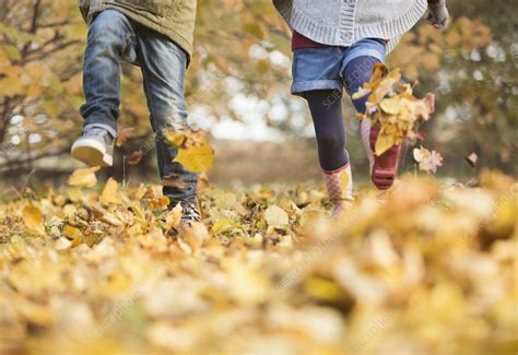 Children Walking In Autumn Leaves Stock Image F0137614 Science
