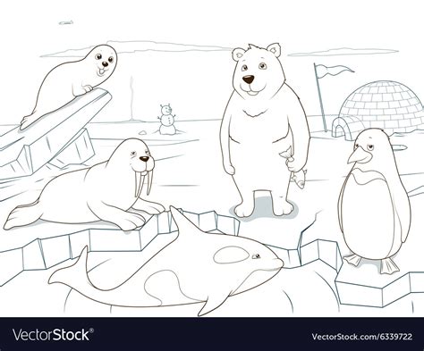 Free printable arctic polar animals to color and use for crafts and animal learning activities. Arctic animals coloring book educational game Vector Image