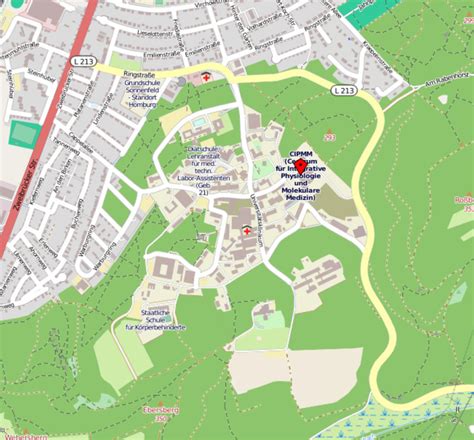 For more information, please refer to the privacy notice for saarland university websites. Young Glia