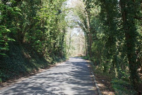 Welsh Country Lane Free Photo Download Freeimages