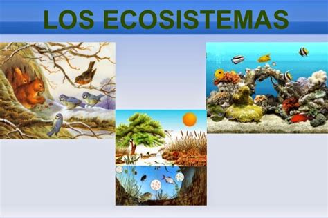 Cinco Y Seis Los Ecosistemas